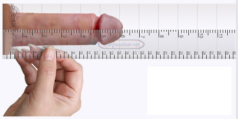 Measuring-The-Penis